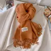 Novo Cachecol de Cor Pura Imitação de Caxemira para Mulheres no Inverno, Monocromático, Versátil, de Alta Qualidade, Aquecedor de Pescoço, Cachecol para Casais