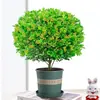 Planta de Vincapervinca en Maceta con Capullos de Flor, Fácil de Cuidar y Mantener, Adecuada para Uso en Interiores en Salas de Estar y en Balcones, También Sirve como Repelente de Mosquitos