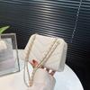 Bolso de Mujer 2023 Otoño Nueva Moda Simple Elegante Trendy Ins Bordado Línea Bolso Cuadrado Pequeño Cadena Textiva Bolso Cruzado