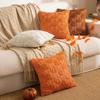 Nueva Almohada de Felpa de Calabaza Funda de Almohada Bordada de Calabaza Otoño Halloween Sala de Estar Sofá Cojín Decorativo Cojín