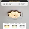 Luz de Teto para Quarto Flor de Tecido Criativa Formato Esférico Proteção Ocular Espectral Completa Através de Arco Quarto Infantil Quarto Principal Sala de Estudo Luz Ferro