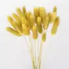 Comércio eletrônico transfronteiriço comércio exterior Amazon cor flor seca rabo de coelho grama atacado diy pequeno buquê vaso buquê
