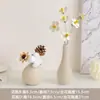 Artículos Decorativos Color Crema, Floreros, Adornos de Aromaterapia, Entrada, Sala de Estar, Gabinete de Vino, Dormitorio, Mueble de TV, Flores Secas, Decoración de Escritorio