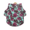 Ropa para Mascotas Camisa de Gato Verano Perro British Shorthair Gato Azul Teddy Primavera y Verano Delgada Informal Dos Patas Estampado de Moda