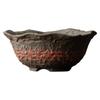 Taza de té de cerámica gruesa de barro de roca antigua Zhuo, estilo retro zen chino, taza maestra, taza individual, taza de té, taza de degustación, taza personal