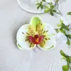 Item popular de comércio exterior: Cabeças de flores de orquídea Phalaenopsis artificiais grandes para casamentos, banquetes, arranjos de fotografia, peças de flores falsas com toque realista, materiais para adereços