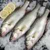 Robalo Fresco, Robalo Fresco, Robalo Comestível, Frutos do Mar, Peixe Resfriado, Peixe Grelhado Semi-Acabado Sete-Estrelas, Comercial