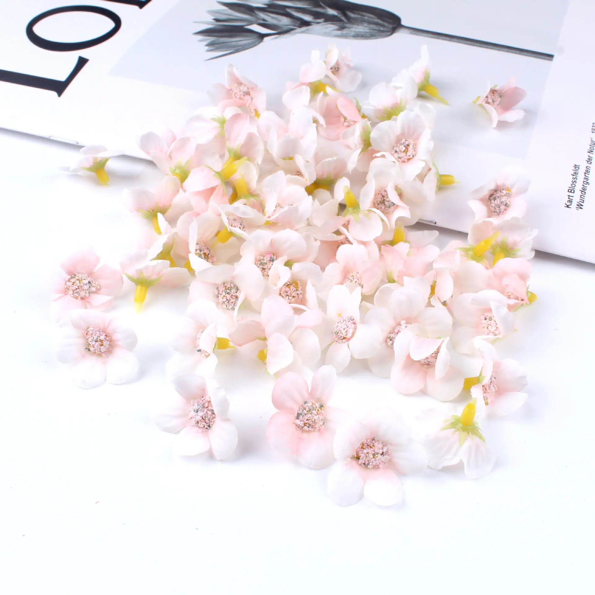 迷你小菊花3