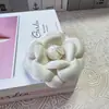 Novo Broche de Camélia, Broche Versátil de Casaco de Alta Qualidade Estilo Chanel, Broche Luxuoso de Seda Primavera e Verão Atacado