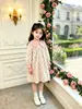Directo de fábrica: Lindo vestido de otoño estilo coreano para niñas pequeñas, nueva colección 2026