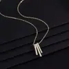 Dz Collar Sencillo de Tira Microincrustado para Mujer, Elegante, Lujo Ligero, Moderno, Cadena Versátil para Clavícula, Exquisita Cadena para el Cuello Casual, Al por Mayor