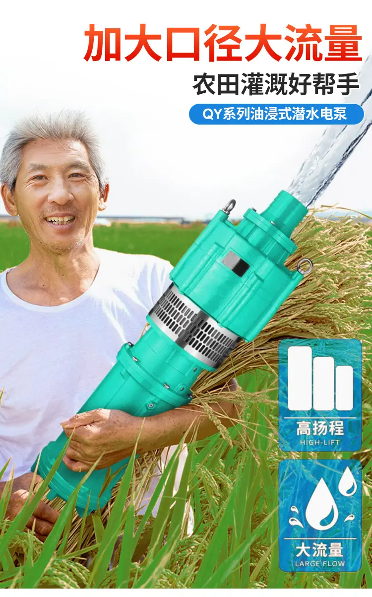 油浸泵详情_05