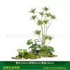 Série Paisagem de Expressão Idiomática de Quatro CaracteresCombinação de Plantas Verdes Artificiais para Paisagismo Decoração de Vitrine Interna