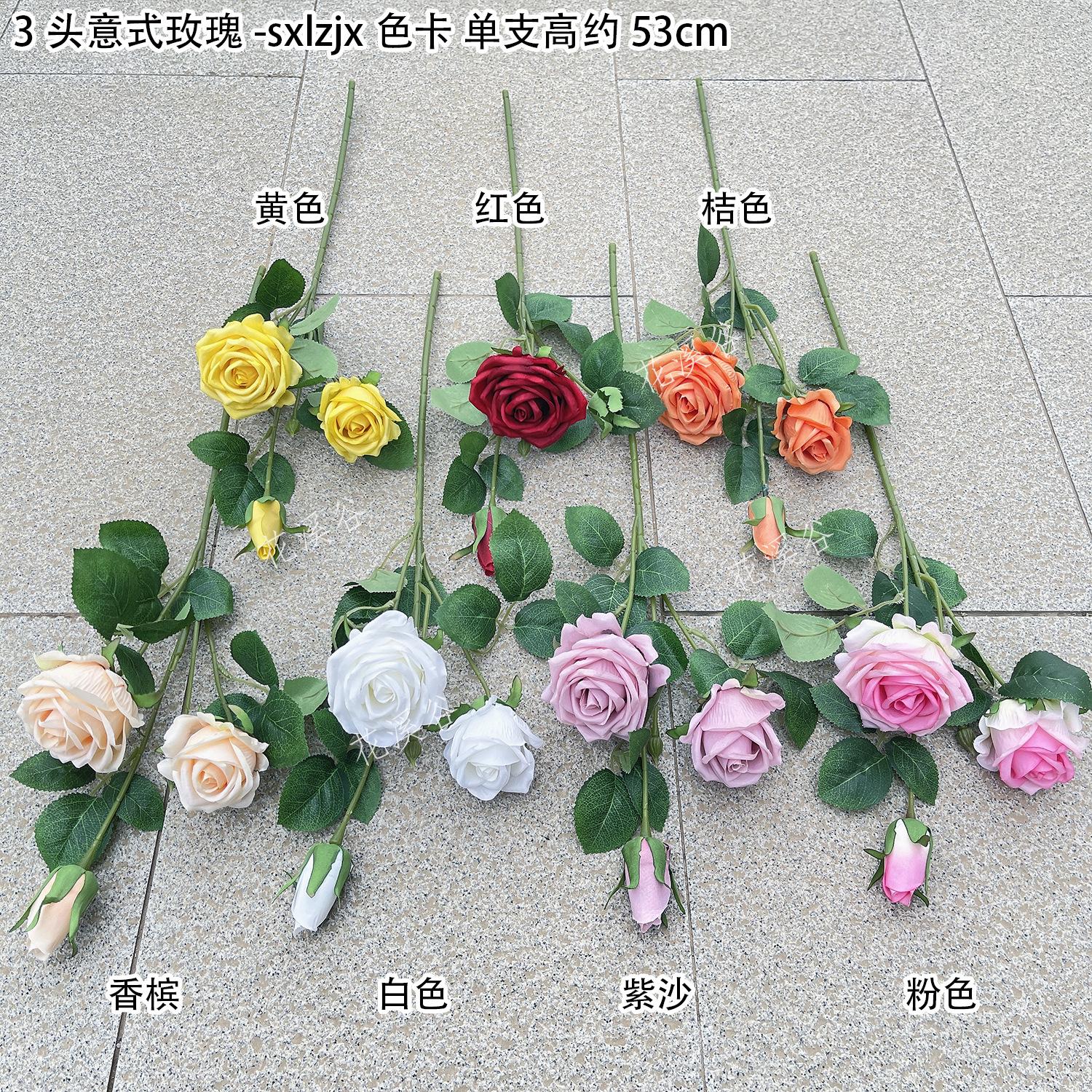 3头意式玫瑰-sxlzjx 色卡 花溪谷.jpg