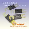 Fusible de bajo voltaje tipo ANLB Carretilla elevadora Vehículo eléctrico Controlador de motor Fusible Fusible 30A-500A