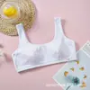 Camiseta Regata de Algodão Puro para Meninas do Ensino Fundamental Estilo Coreano Top Tubo Esportivo Fino Roupa Íntima para Menina de 12 Anos Sutiã de Desenvolvimento
