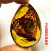 Colgante de Ámbar con Espécimen de Insecto Real Ámbar Insecto Gota de Agua con Forma de Insecto Escorpión Mariposa Abeja Flor Ámbar Transmisión en Vivo Venta al por Mayor