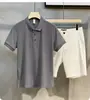 Camisa Polo Masculina de Tricô Ajustada Cor Sólida Simples Estilo Old Money Tendência Versátil Ligeiramente Madura Casual de Verão
