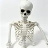 Decoração de Halloween Esqueleto Simulado 165cm Ornamento de Atmosfera de Terror Adereços de Casa Assombrada Ossos Realistas em Forma Humana