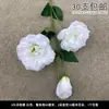 Decoração de Casamento com Flores Brancas, Peônias, Phalaenopsis, Rosas, Arranjos Florais de Teto e Arranjos Florais Pretos para o Salão de Casamento