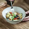 Cubo Creativo Tazón Hogareño de Cerámica Tazón de Salah Tazón para Fideos Patrón de Anillo Retro Tazón para Verduras Tazón al por Mayor Tazón para Hogar y Restaurante