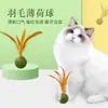 Juguete para Gatos Bola de Hierba Gatera Pluma Masticable Autoentretenimiento Alivio del Aburrimiento Disco de Hierba para Gatos Bola Palo para Provocar Gatos Eliminación de Pelo de Gato Especial para Gatos