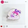 Anillo de Natación Sanrio Clip de PP Nuevo Acrílico Dulce y Lindo Clip para Niña Clip para Notas de Dibujos Animados Acrílico de Doble Cara