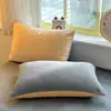 Funda de almohada de terciopelo de leche estilo blogger Ins, pieza única, invierno, engrosada, cálida, terciopelo de coral, funda versátil para núcleo de almohada, 48*74, artículo único