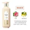 Caja Completa de Sanshenghua Limpiador para Cuero Cabelludo Suavizante de Cabello Crema de Champú Champú con Fragancia