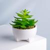 Macetas de Cerámica Personalizadas para Plantas Regalo Negro y Blanco Esmaltado Luz Escritorio de Oficina Plantación Verde