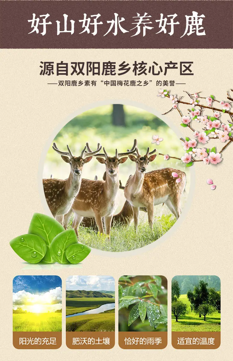 鹿参膏-阿里详情_03.jpg