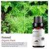 Exportación Transfronteriza Aceite Esencial Individual Fragancia Aromaterapia Masaje Aceite Esencial Sándalo Difusor Mayoreo Muestra de 10 ml