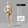 Loja de Roupas Props de Modelo Masculino e Feminino Modelos de Cor de Pele com Base Suporte de Manequim Props de Exibição