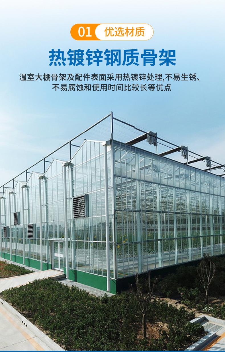 玻璃温室大棚_04.jpg