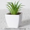 Mini suculentas de simulação atacado pequenos ornamentos de plantas em vaso flores de simulação com vasos flores artificiais plantas verdes para mesa de escritório