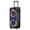 Alto-falantes de Carrinho Coloridos com Luzes Duplos de 8 polegadas, Venda Quente Transfronteiriça, Subwoofer Bluetooth para Exterior, Alto-falantes de Palco para Festa