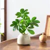 Planta Pato de la Fortuna en Maceta Planta Hidropónica Flor Escritorio de Oficina Planta Verde Sala de Estar Fácil de Mantener Bonsái para Todas las Estaciones