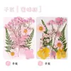 Marcador de Flores Secas Película Laminadora de Espécimen Colección de Primavera en Botella Kit de Materiales para Regalo Hecho a Mano DIY Pegatinas Transparentes