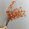 Linterna de palacio de simulación, fruta de alta calidad, linterna de niña, venta al por mayor, accesorios de fotografía florales para el hogar, linterna colgante de fruta