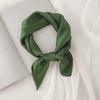 Acessórios de Pescoço Novo Estilo Lenço de Pescoço Versátil Cor Pura Lenço Primavera & Outono Lenço de Gaze Decorativo Lenço Quadrado Pequeno Preto para Mulheres
