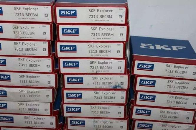 psbB8DHR7CG