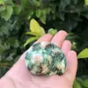 Envío Gratis Concha Natural Caracola Concha Enrollada Concha de Pez Concha de Pez Decoraciones para Paisajismo de Acuario Decoración de Acuario Concha de Repuesto para Cangrejo Ermitaño