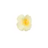 4cm Novo Clipe de Garra Pequeno em Formato de Flor Coração Petal Vendido Quente para Rabo de Cavalo Alto, Clipe Tiburón de Design de Nicho, Acessório de Cabelo Transfronteiriço para Mulheres