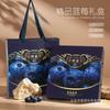 Blueberry caixa de embalagem caixa de presente caixa vazia framboesa de alta qualidade com bolsa portátil caixa de presente caixa de frutas por atacado