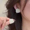 Aguja de plata 925, diseño de nicho, aretes de puesto de mercado nocturno, fuente mayorista, aretes de moda estilo coreano, aretes populares
