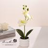 Flor Artificial Orquídea Pequeno Bonsai Flor Falsa Decoração de Casa Ornamento Adereço para Fotografia Flor Artificial Planta Artificial em Vaso