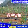 Estructura de Soporte para Maracuyá, Arco Estructura de Poste de Fibra de Vidrio para Cultivar Verduras, Valla de Tubo de Fibra para Plantación de Verduras