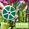 Cinta de jardinagem Cinta de ferro revestida de plástico Cinta Cinta de corte Cinta de planta trepadeira de rosas Cinta de corda fixa Cinta de suporte de cinta