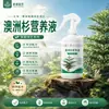 Solución Nutricional Especial para Plantas Verdes de Interior en Maceta Araucaria Fertilizante Líquido Previene Hojas Amarillas Puntas Secas Fortalece Raíces Promueve Crecimiento Fertilizante