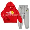 Traje Holgado y Cómodo de Comercio Exterior para Niños Medianos y Grandes, Conjunto de Dos Piezas de Sudadera con Capucha y Pantalones Deportivos de Algodón para Primavera y Otoño en Stock